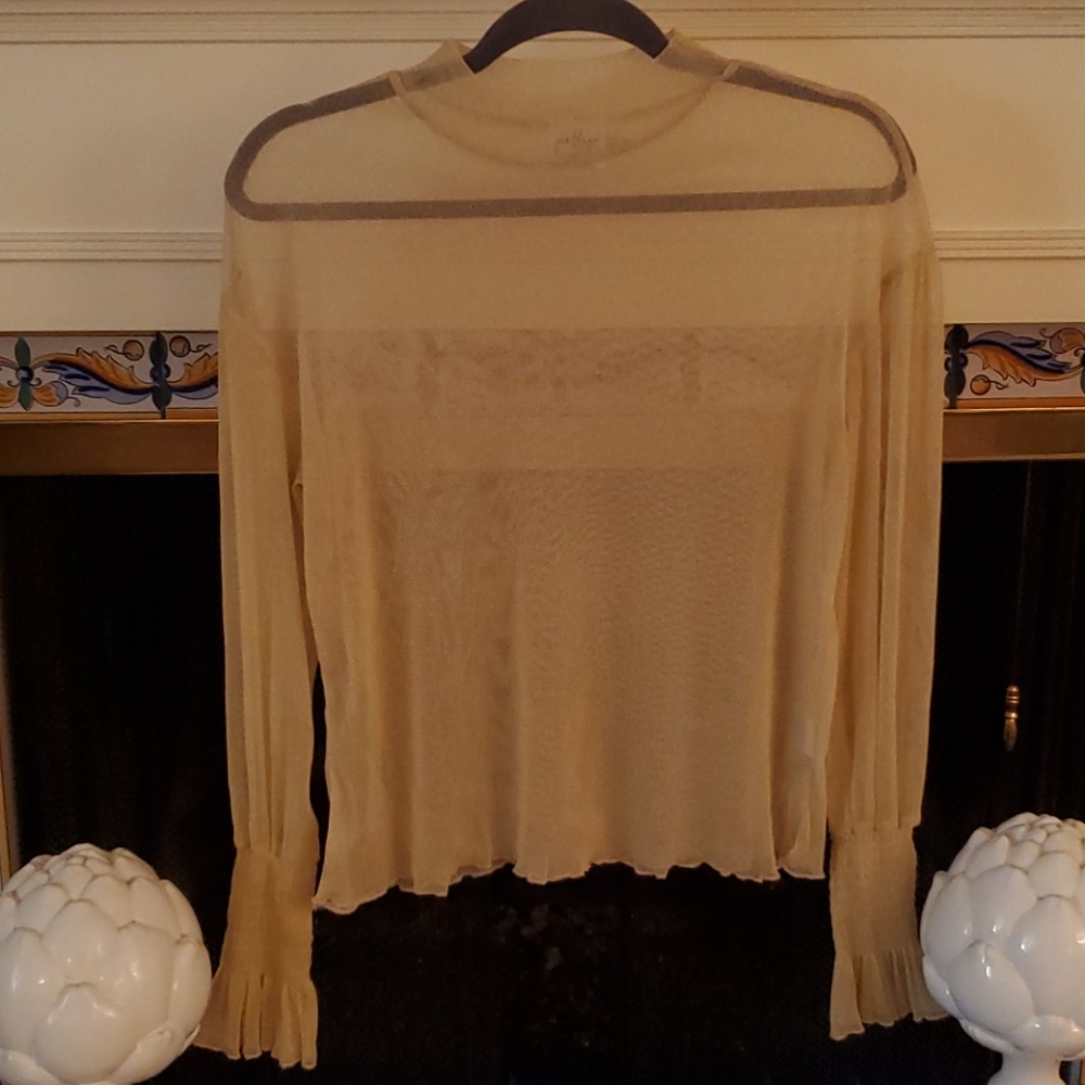 Gold sheer long sleeve top. Size 6